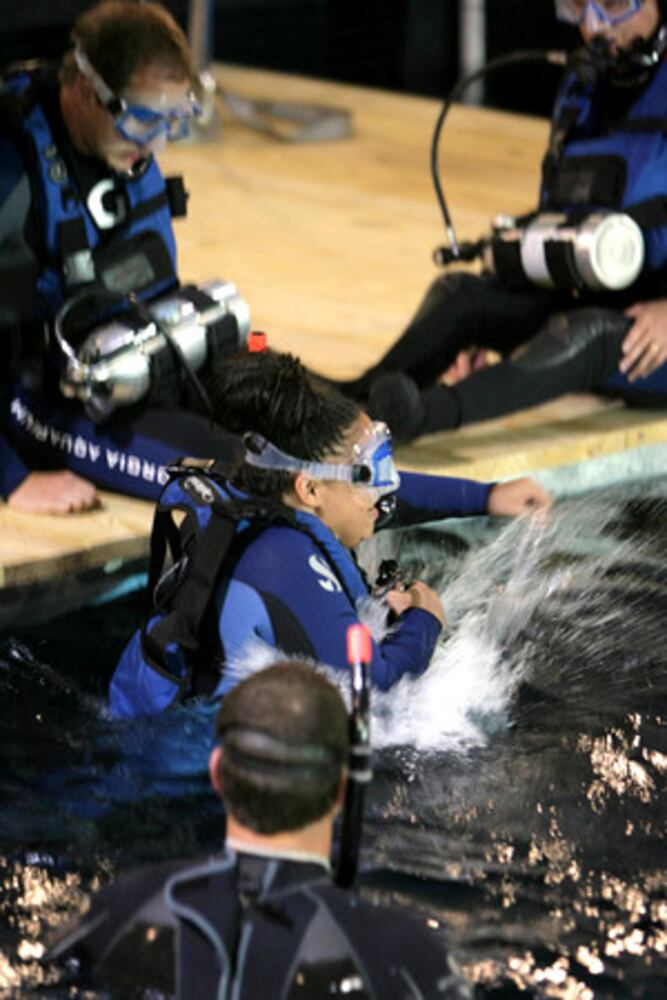 Veterans swim with the fishes at Georgia Aquarium