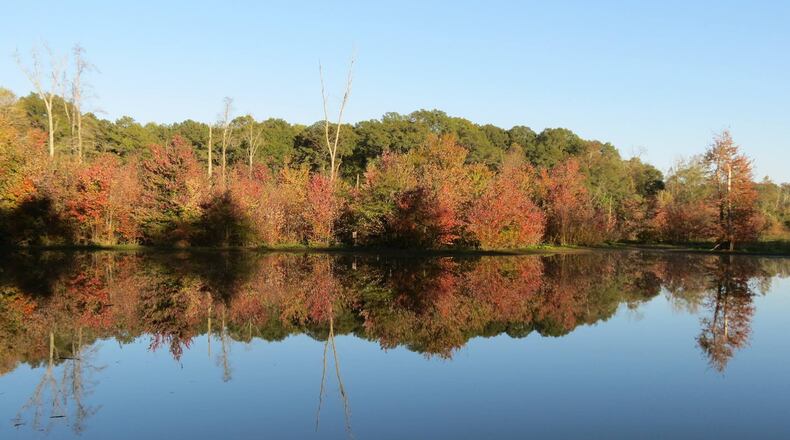 Constitution Lakes Park in southeast Atlanta is reclaimed wetlands with a “wildlife preserve” designation that makes it an unlikely peaceful refuge along an industrialized stretch of Moreland Avenue. It’s home to a wide array of migratory birds and hiking trails, including the colorful “Doll’s Head Trail” of found art. CONTRIBUTED BY PARK PRIDE