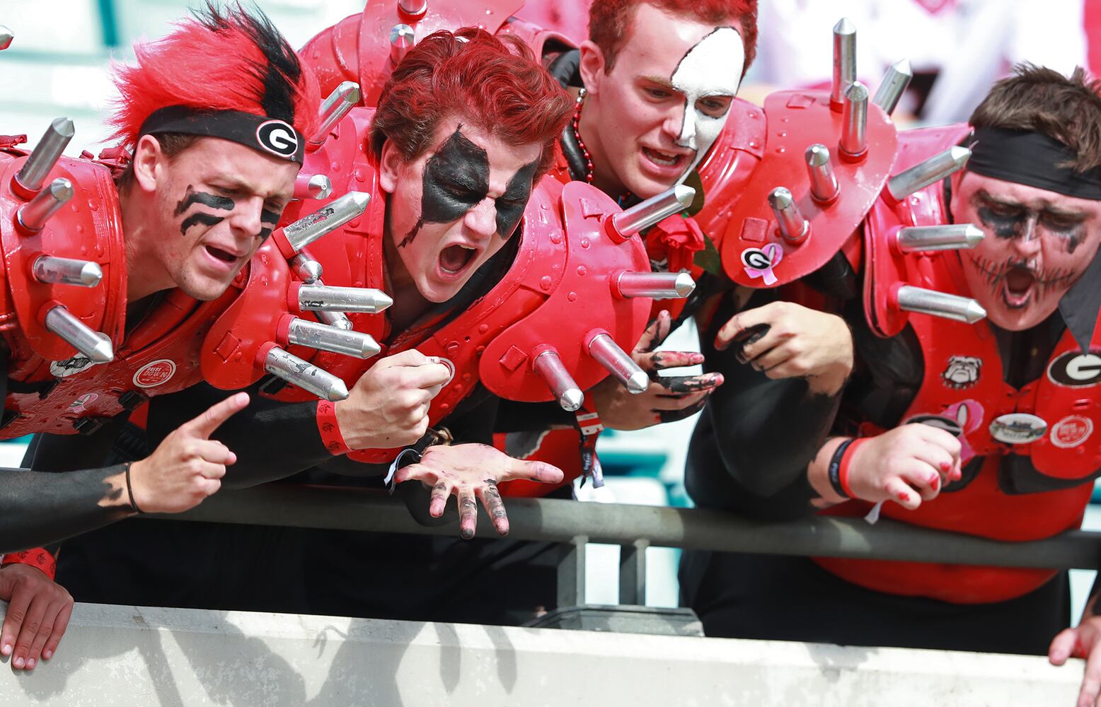 Photos: The scene at the Georgia-Florida game