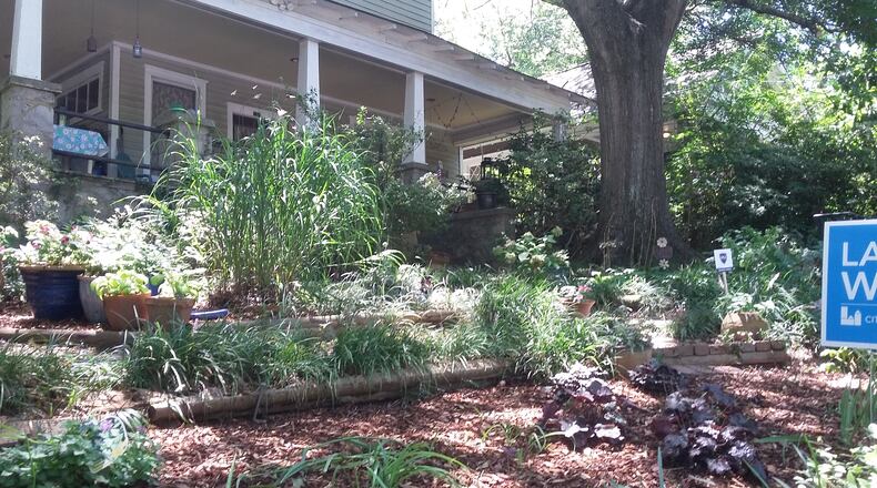 Lexa King's Candler Park garden in August 2017.