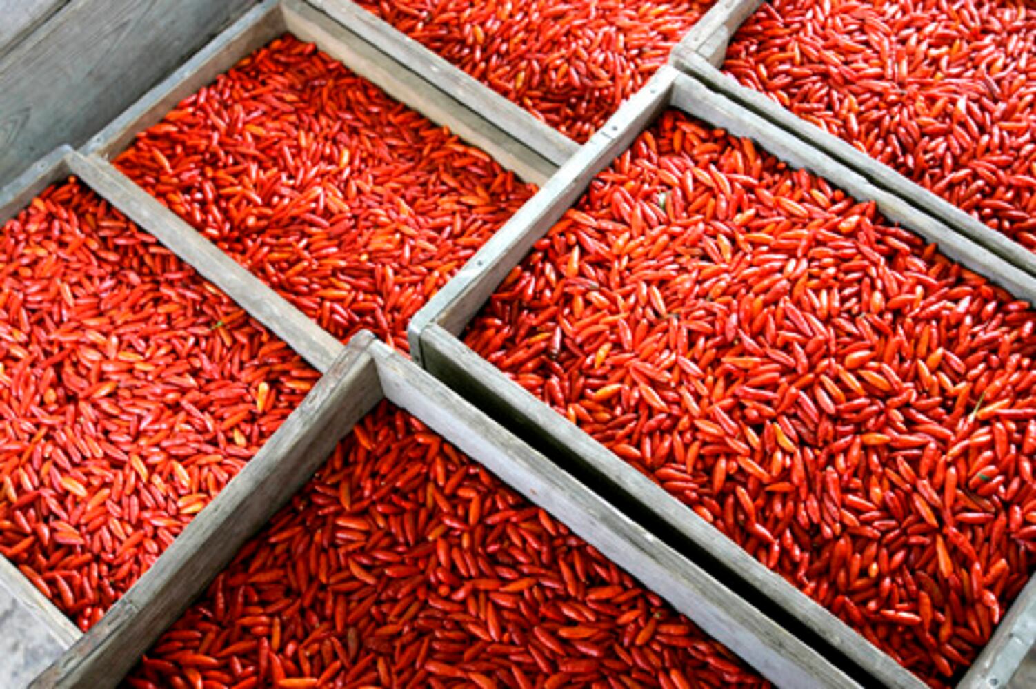 Avery Island, La.: Where Tabasco is the hot commodity