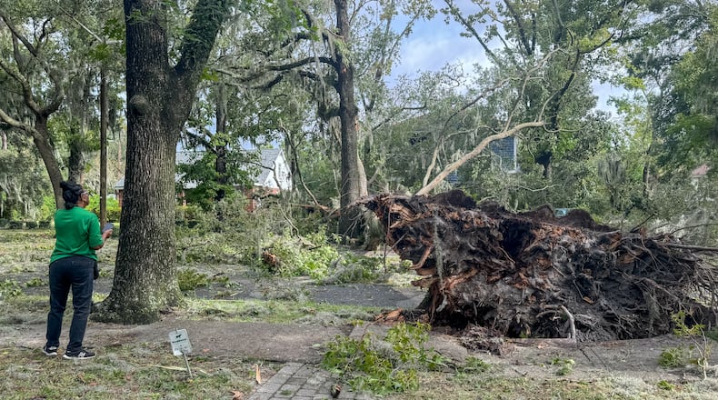 A pedestrian stands in front of an uprooted tree that is blocking a road on Friday, September 27, 2024 in Savannah, GA. (AJC Photo/Katelyn Myrick)