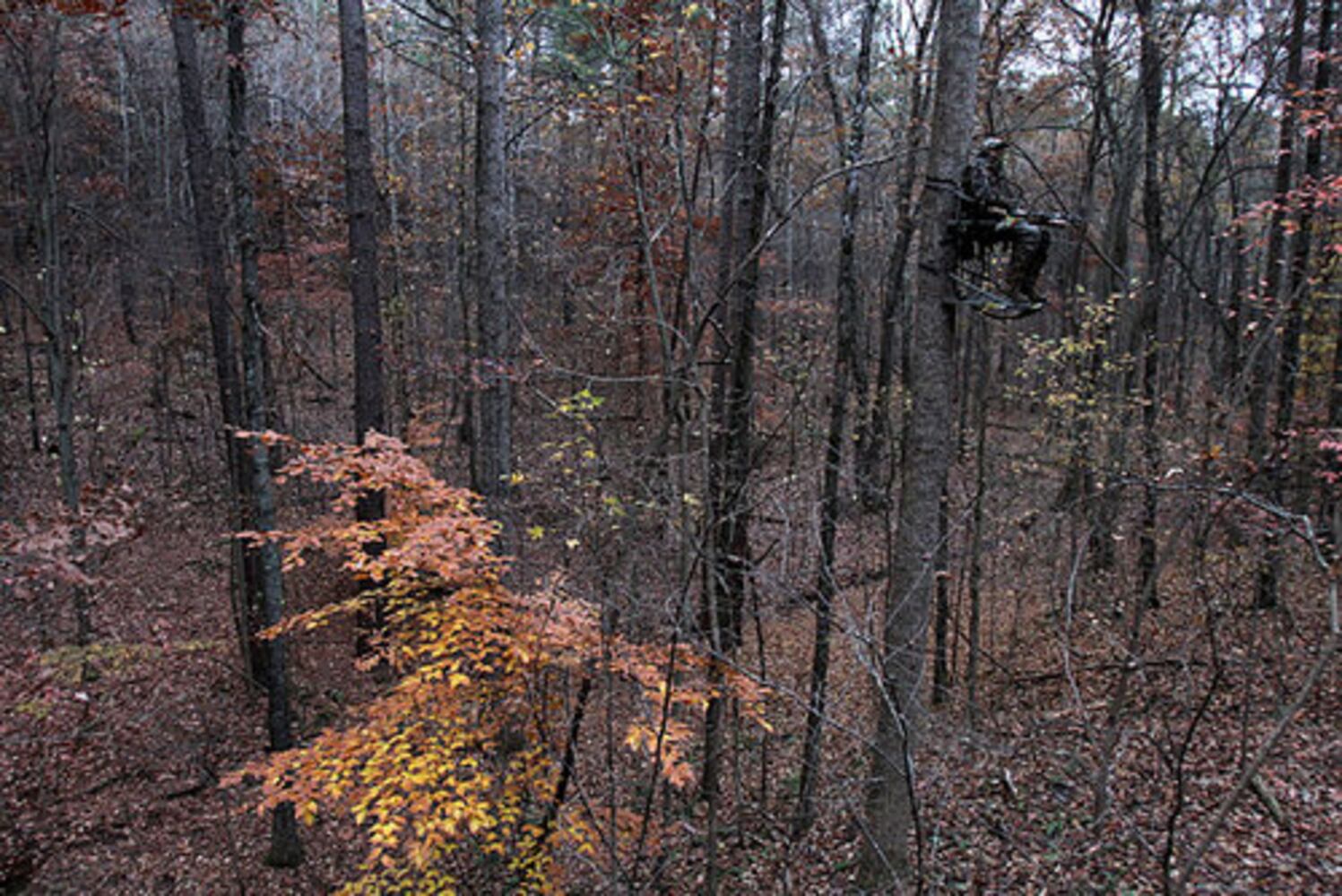 Roswell bow hunter raises hackles