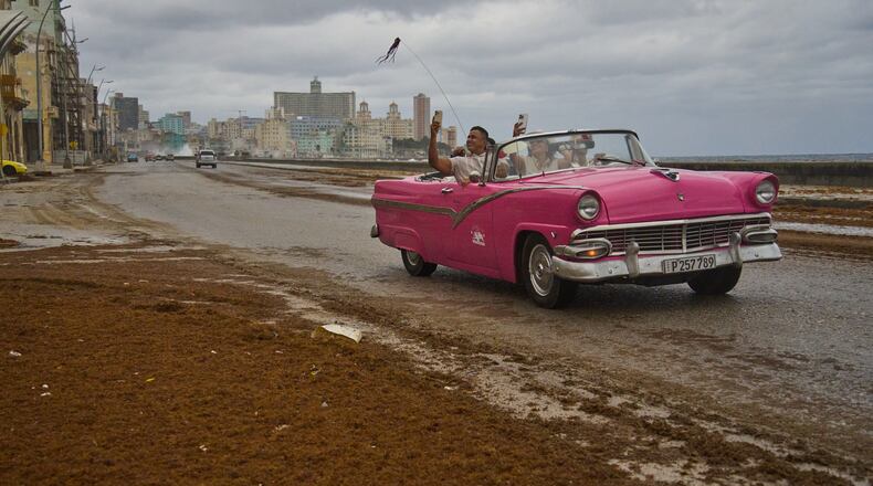 Tourists travel in a classic American car along the Malecon littered with sargassum seaweed, in Havana, Cuba, Wednesday, Jan. 28, 2026. (AP Photo/Ramon Espinosa)