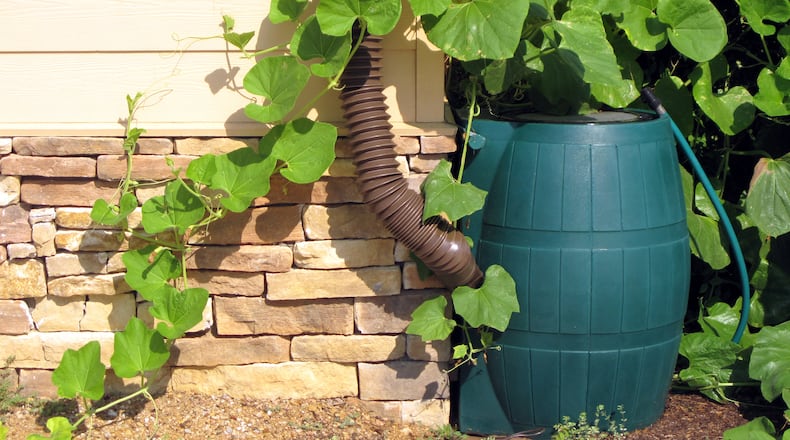 Adding a rain barrel to your home’s exterior can be good for your plants, the planet and your wallet. (Dreamstime)