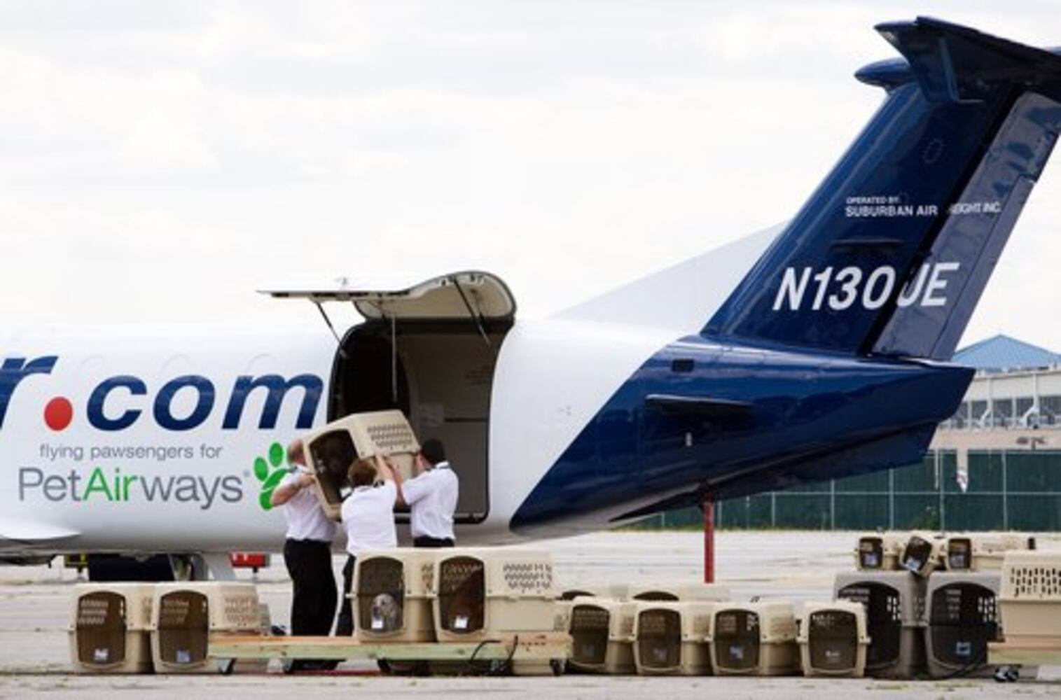 Woof! First all-pet airline takes flight