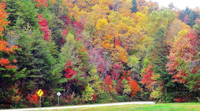 Fall leaf color, from last year, along the Richard B. Russell Scenic Highway (Ga. 348), which begins just outside Helen in White County. The highway, one of Georgia’s prime fall leaf-watching routes, runs through the Chattahoochee National Forest and is part of the Russell-Brasstown Scenic Byway. PHOTO CREDIT: Charles Seabrook