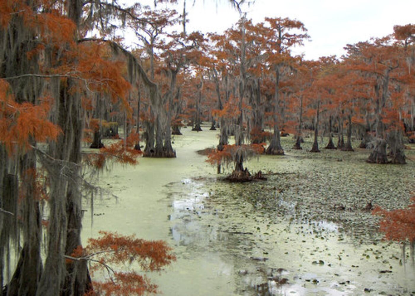Mystical Texas lake fascinates visitors