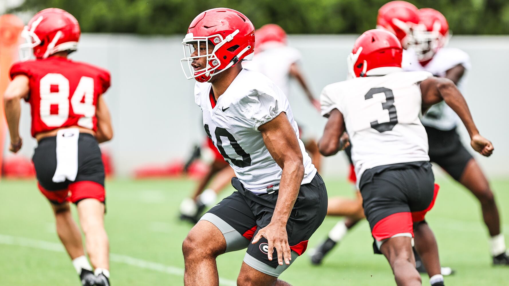 Georgia Bulldogs