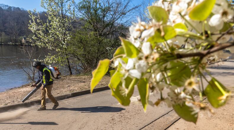 Orlando Echols of Roswell Parks and Recreation blows away flower petals and dust from the parking lot on Thursday, March 14, 2024 at Azalea Park in Roswell. (John Spink / John.Spink@ajc.com)