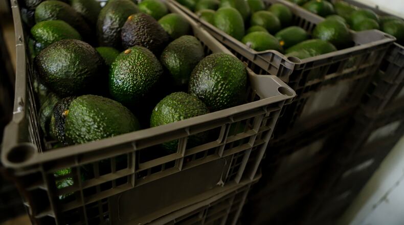 FILE - Crates of avocados wait to be processed at a packing plant in Uruapan, Mexico, Feb. 16, 2022. (AP Photo/Armando Solis, File)