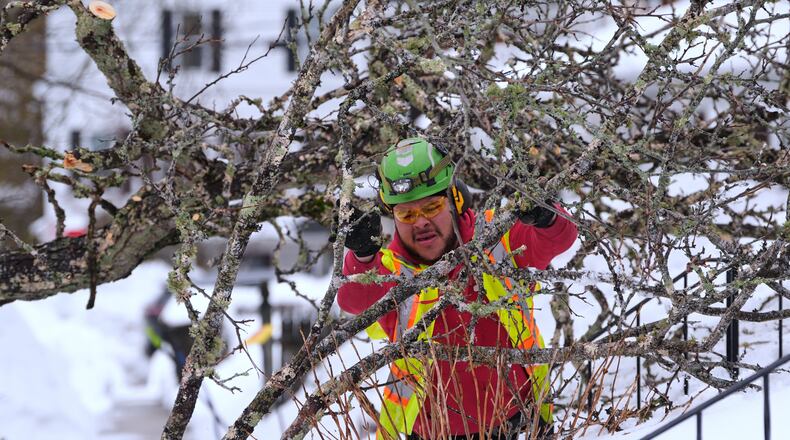 Francis Santana, who works for a tree service from Rhode Island, clears downed limbs so power can be restored after a winter storm dumped more than two feet of snow across the region, Wednesday, Feb. 25, 2026, in Plymouth, Mass. (AP Photo/Charles Krupa)