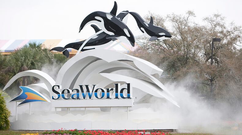 (Photo by Matt Stroshane/Getty Images)