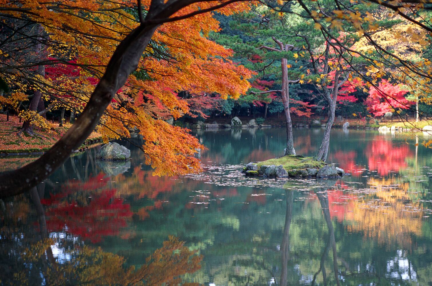 #9 Japan