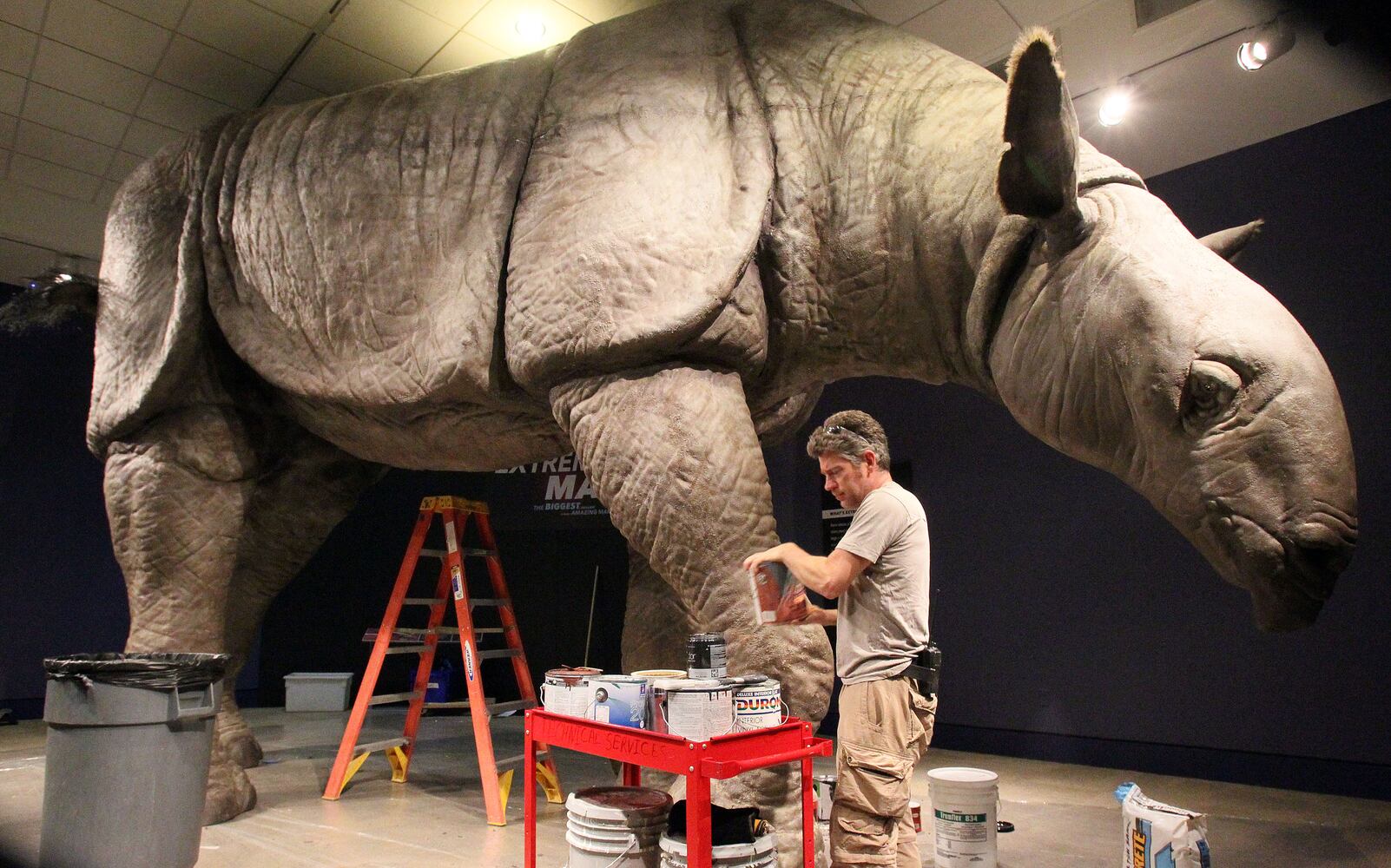 'Extreme Mammals' exhibit at Fernbank Museum