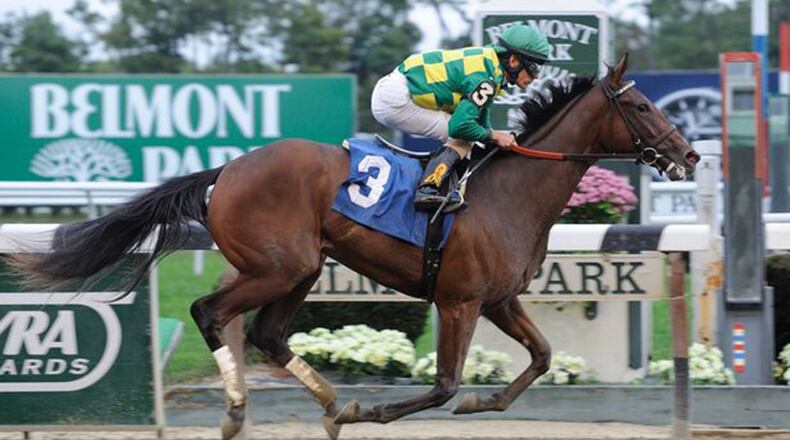 Puca is a Kentucky Oaks entrant, owned by Keith Mason of Atlanta. (Special to the AJC)