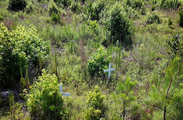An aerial view of crosses in an overgrown area where bodies were believed to have been buried after the Battle of Kettle Creek, a key Patriot victory in the American Revolutionary War. (Hyosub Shin/AJC)