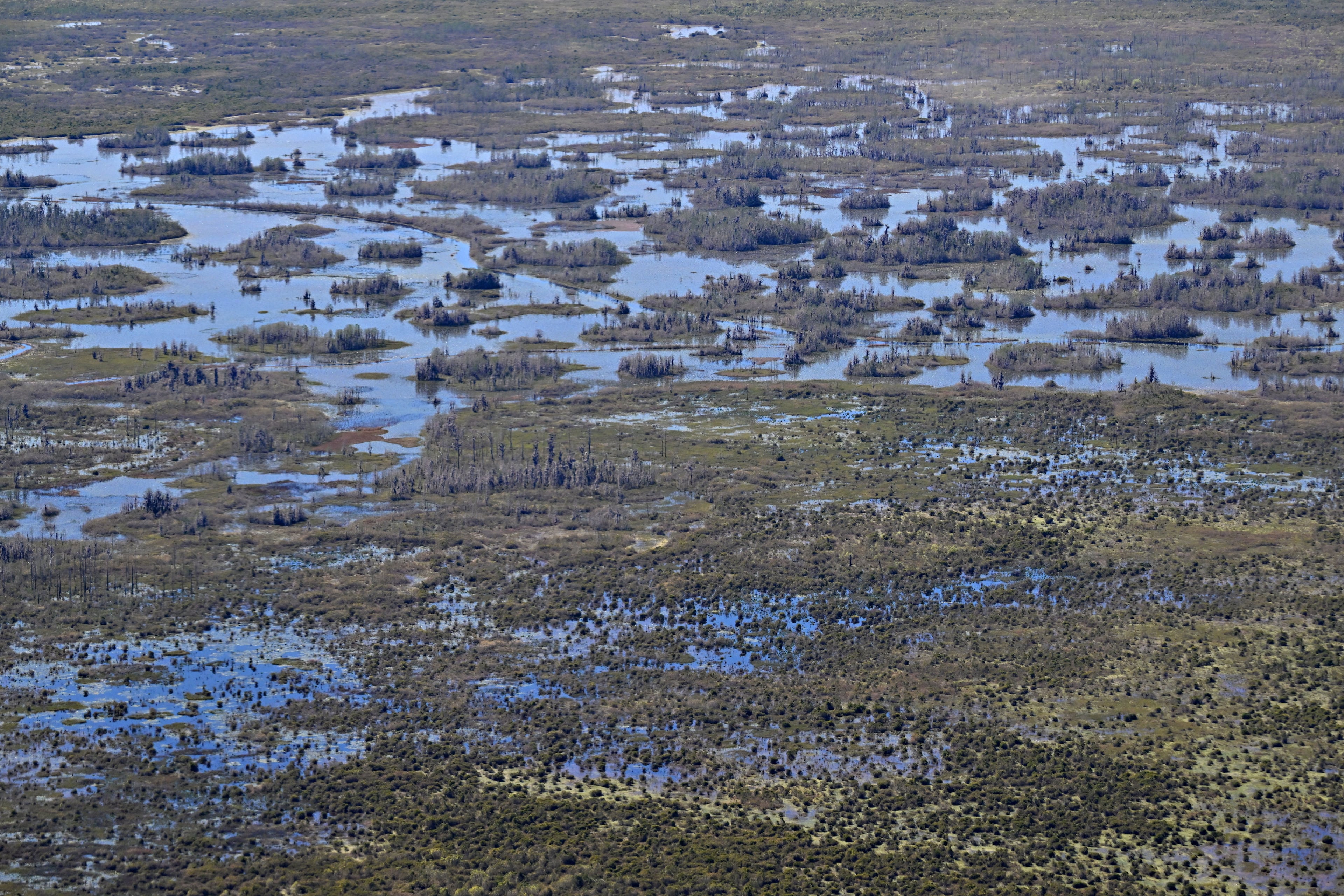 Aerial photograph shows the Okefenokee Swamp, Tuesday, Mar. 19, 2024, in Folkston. (Hyosub Shin/AJC)