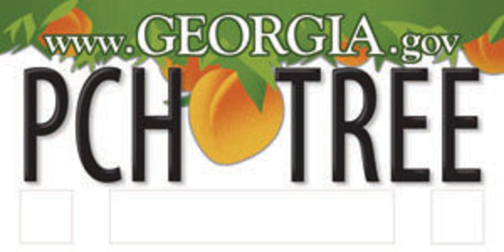Contest held in July for Georgia tag designs