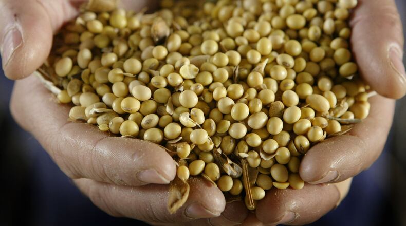 Soybeans are used to make plant-based protein products. Tyson Foods, the country's largest meat processor, is investing in more meatless start-ups.