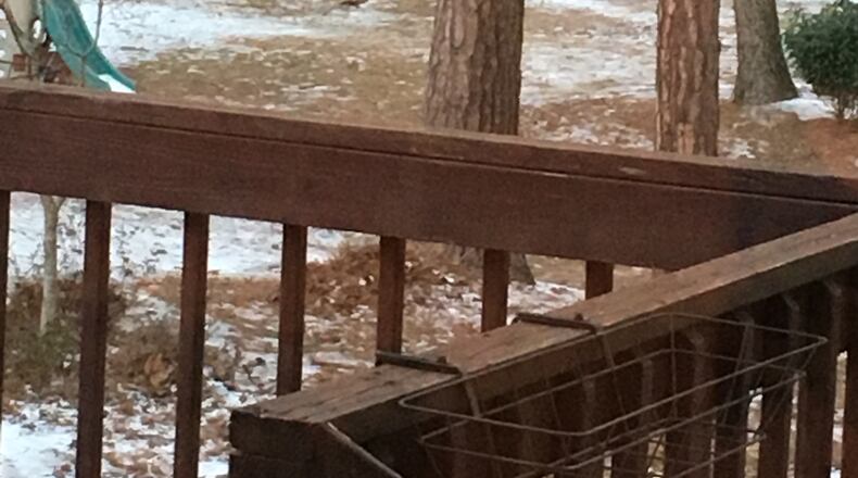 A Roswell resident captured a picture of a large coyote in his backyard this week.