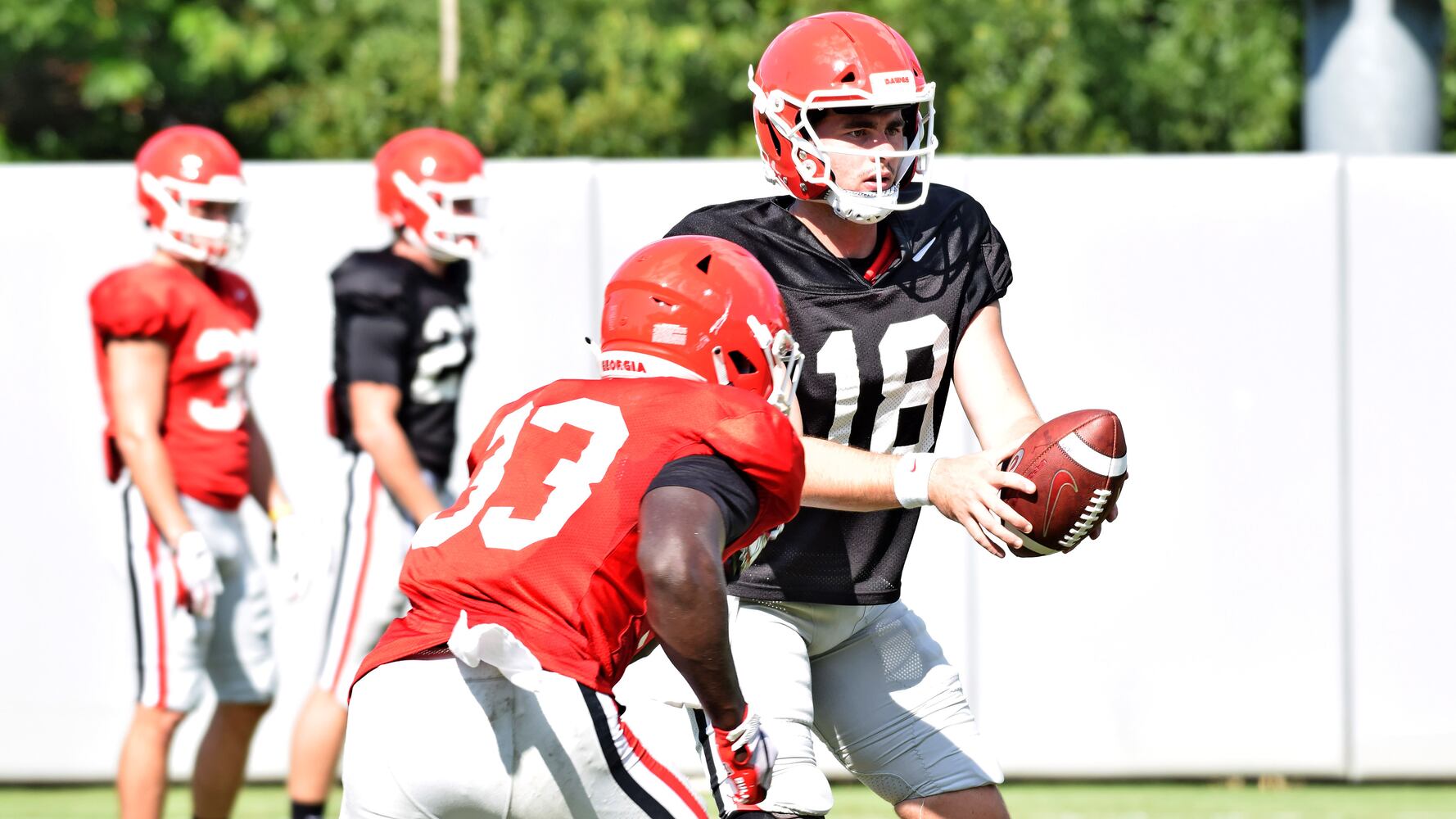 Georgia Bulldogs
