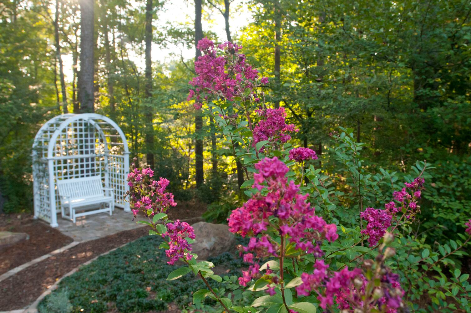 Transplanting ideas