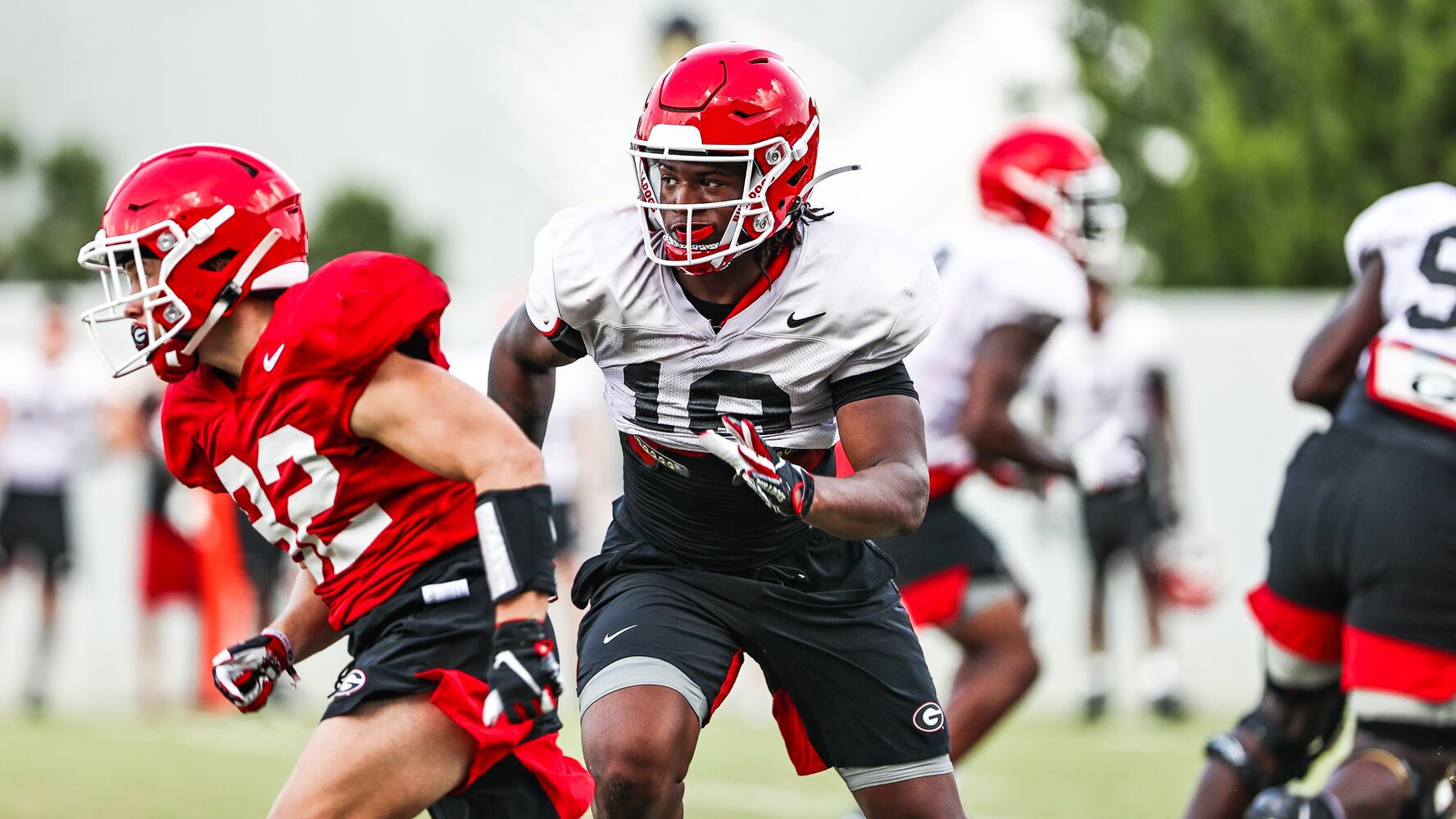 Georgia Bulldogs