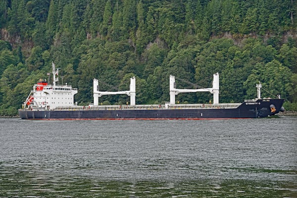 The Liberian-flagged bulk carrier Eternity C is seen near Cathlamet, Oregon, July 23, 2019. (Mike Cullom via AP)