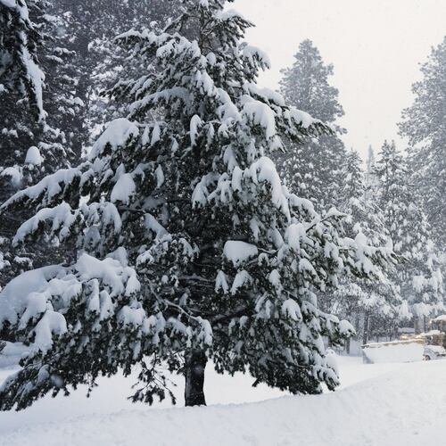 A road is plowed during a snow storm on Tuesday, Feb. 17, 2026 in Truckee Calif. (AP Photos/Brooke Hess-Homeier)