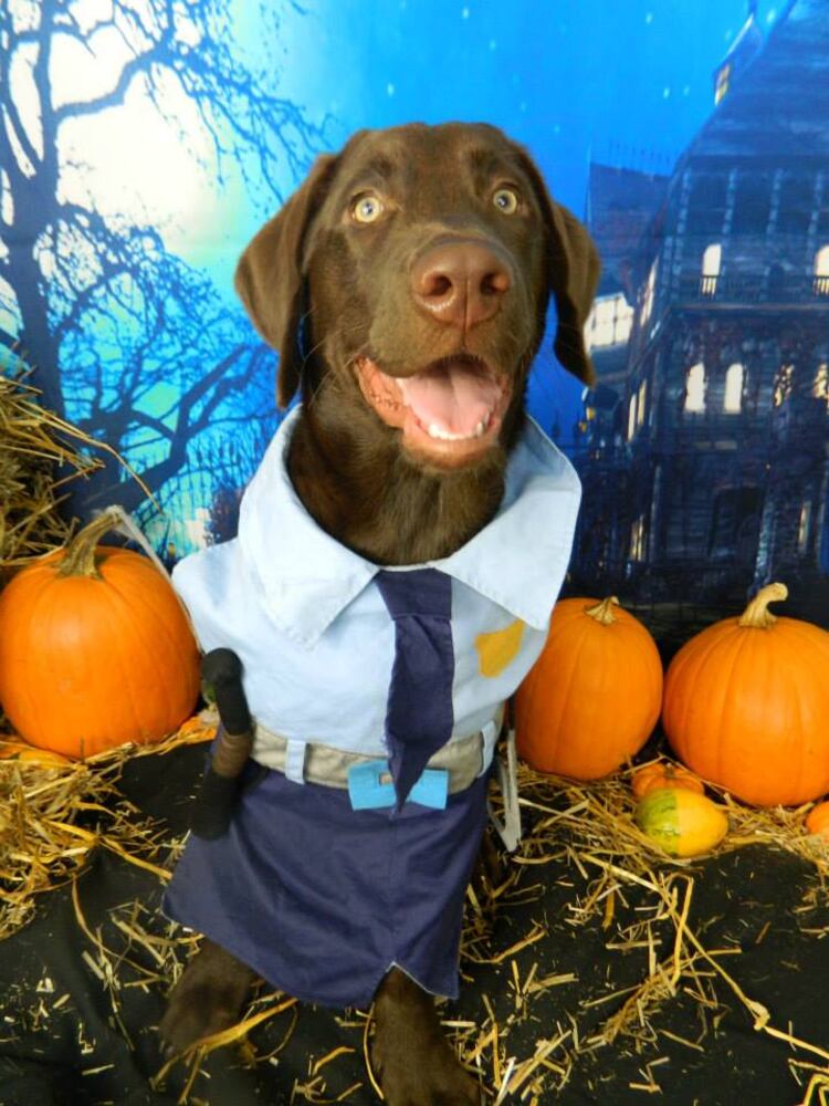 Tucker