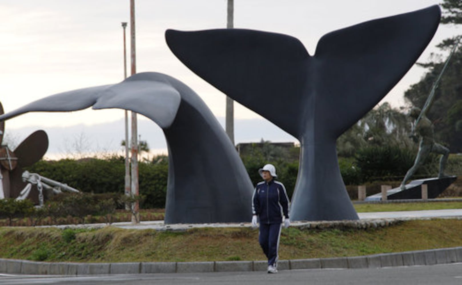 Japanese fishing village of Taiji thrust into spotlight