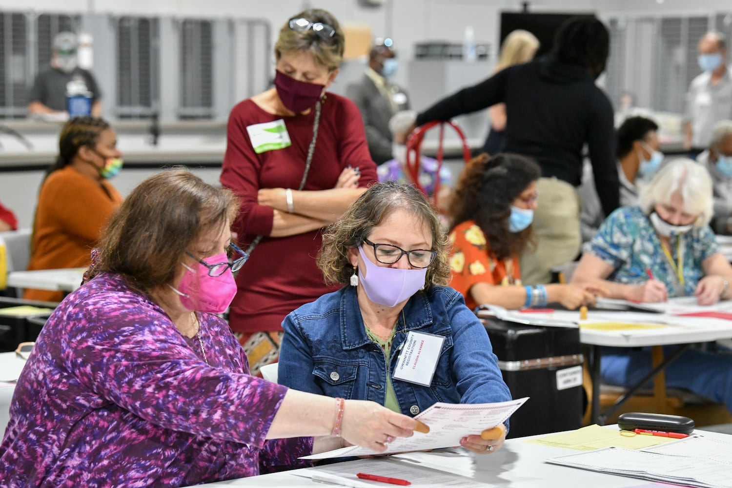 Gwinnett election recount.