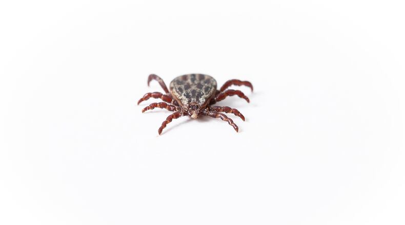 The Laboratory of Medical Zoology at the University of Massachusetts Amherst is offering tick testing for $15 per tick. The university says it’s a good way to see if the tick that bit you is carrying any diseases, like Lyme disease.