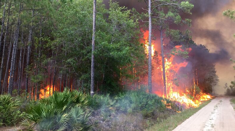 May 11, 2017: The West Mims fire in the Okefenokee National Wildlife Refuge in South Georgia. Photo shot by firefighters from the Balcones Canyonlands National Wildlife Refuge in Texas.