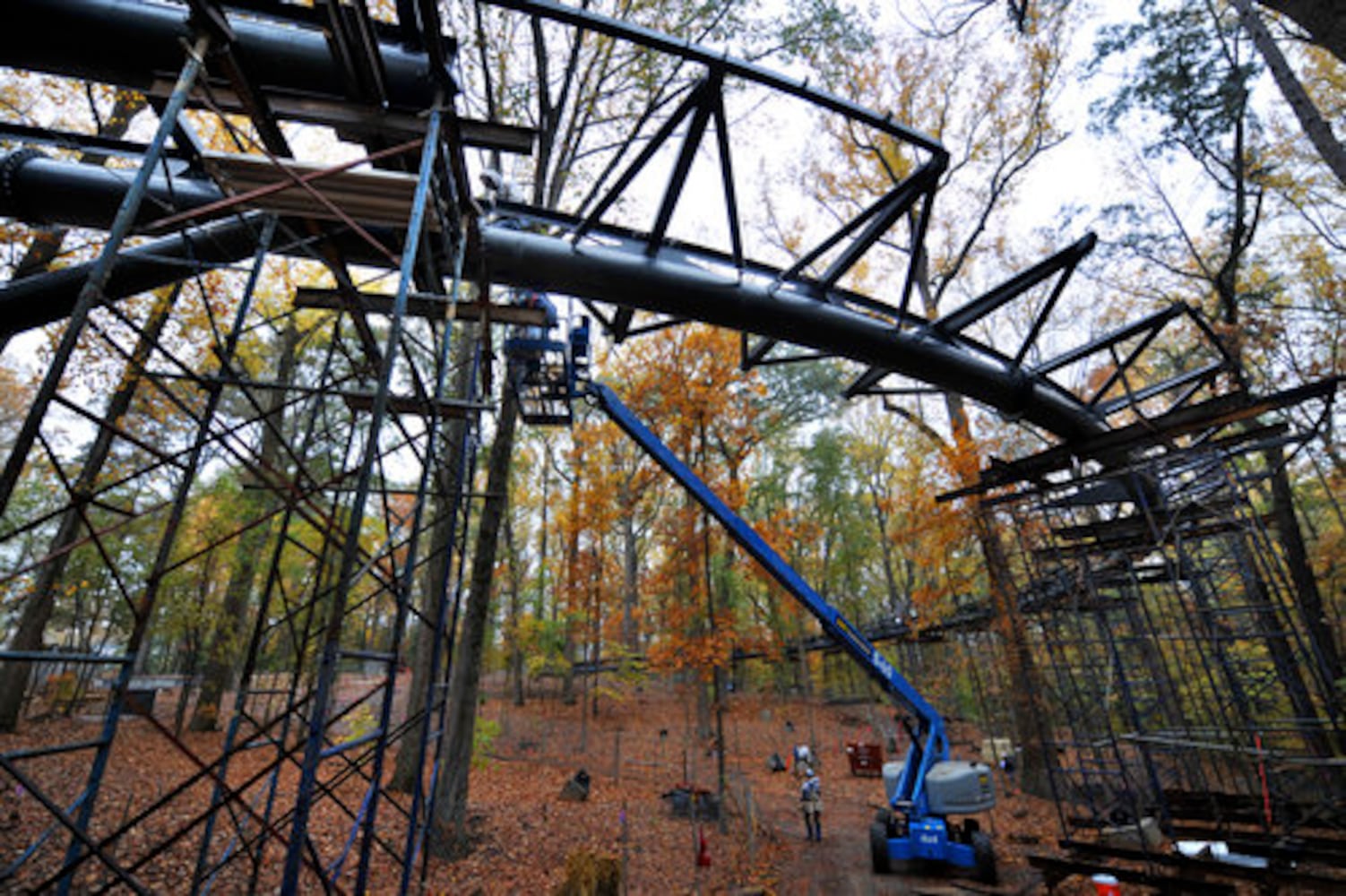 Atlanta Botanical Garden accident