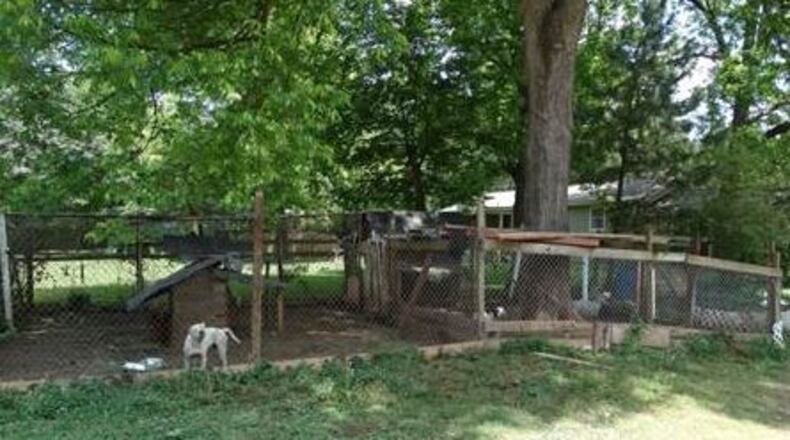 Nine chihuahuas and six pit bulls were discovered May 24 outside a home on Williams Drive. (Credit: Gwinnett County Police)