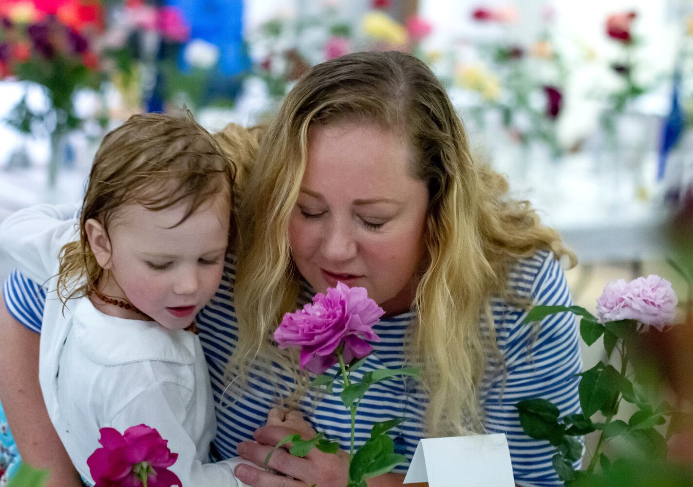 PHOTOS: 62nd Atlanta Rose Show 2019