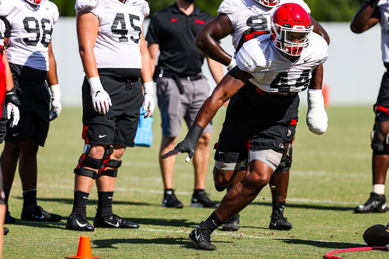 Georgia Bulldogs