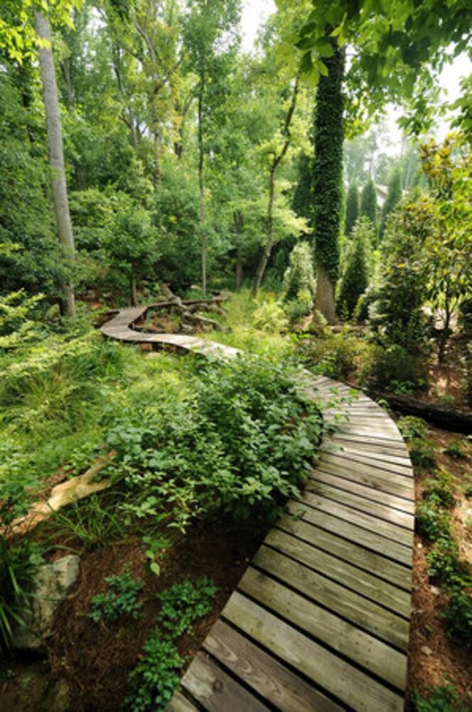 A wooded Druid Hills garden planted with TLC