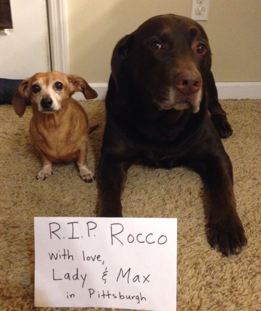 RIP Rocco