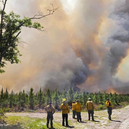 Firefighters responding to the Pineland Road Fire in April. (Georgia Department of Natural Resources via AP)