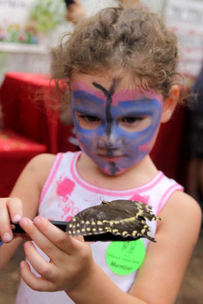 Photos | Dunwoody Butterfly Festival