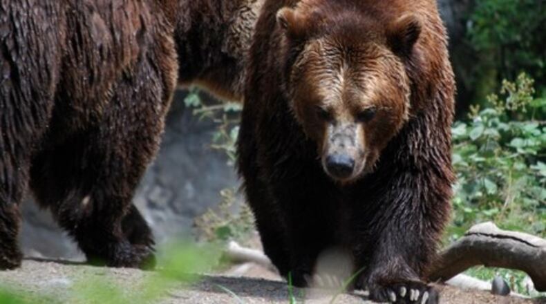 Photo credit: Morguefile.com