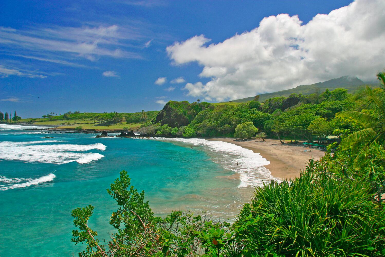 2011 location: Hawaii