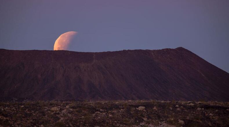 A battle in the desert between a roadrunner and a snake was caught in a dramatic video.