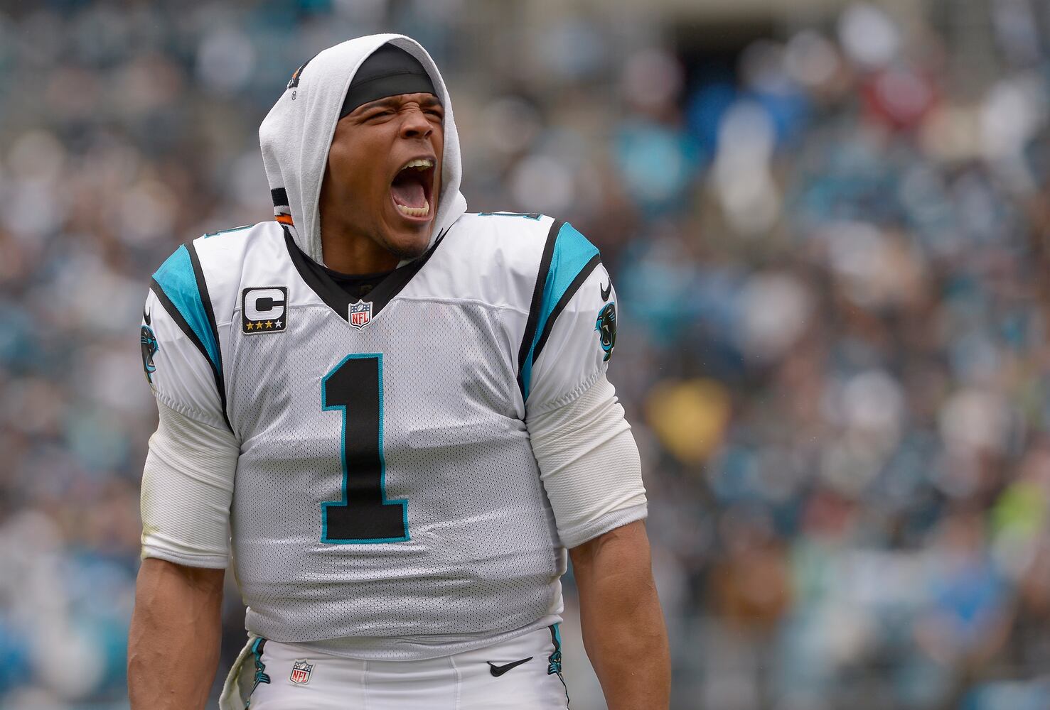 Cam Newton celebrates: Jan. 17, 2016