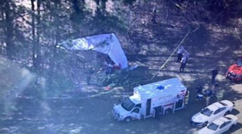 Only the pilot was on board the ultralight plane when it went down near Meadow Lane, officials said.