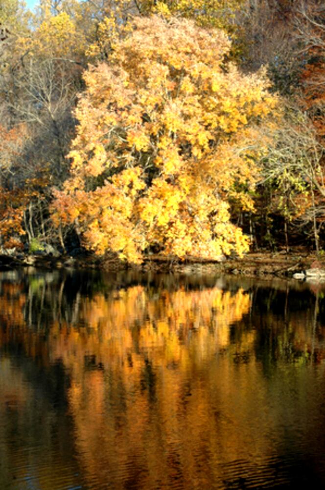 Autumn in Philadelphia