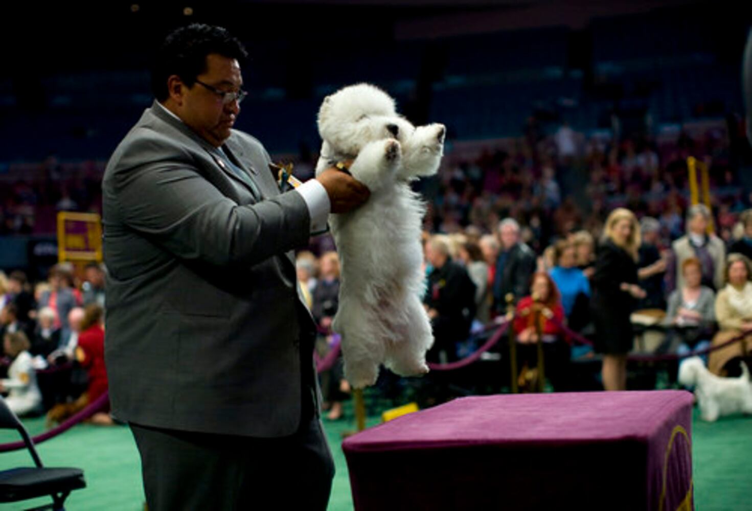 Day 1 of Westminster Dog Show in New York